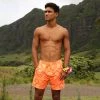 Kulani Kinis New Arrivals Men's Swim Trunks - Lilo